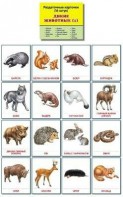 Раздаточные карточки "Дикие животные (1)" - fgospostavki.ru - Югорск