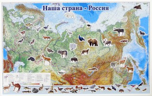 Магнитные карточки "Животные" - fgospostavki.ru - Югорск