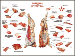 Таблица "Правила разделки мясных туш. Говядина и телятина" (100х140 сантиметров, винил) - fgospostavki.ru - Югорск