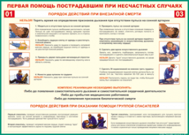 Таблица "Порядок действий при внезапной смерти" (100х140 сантиметров, винил) - fgospostavki.ru - Югорск