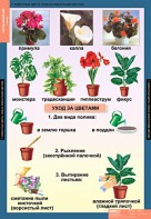 Комплект таблиц. Окружающий мир 1 класс. - fgospostavki.ru - Югорск