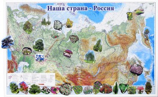 Магнитные карточки "Растения" - fgospostavki.ru - Югорск