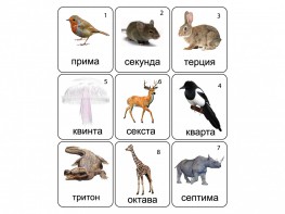 Набор магнитных карточек по музыке "Животные" (9 штук) - fgospostavki.ru - Югорск