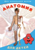 DVD "Анатомия для детей" - fgospostavki.ru - Югорск