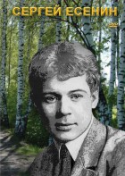 DVD "Сергей Есенин" - fgospostavki.ru - Югорск