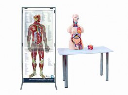 Интерактивный учебный комплекс "Анатомический атлас 3D" - fgospostavki.ru - Югорск