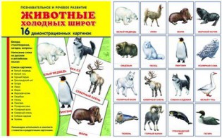 Демонстрационные карточки "Животные холодных широт" - fgospostavki.ru - Югорск