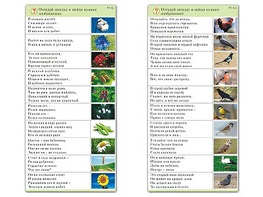 Комплект карточек (10) "Обучающий калейдоскоп. Природа" - fgospostavki.ru - Югорск