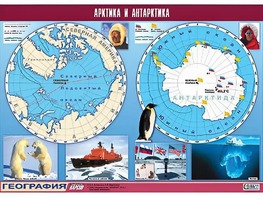 Таблица демонстрационная "Арктика и Антарктика" (винил 100*140) - fgospostavki.ru - Югорск