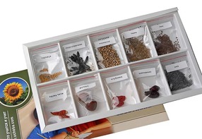 Коллекция "Плоды сельскохозяйственных растений" - fgospostavki.ru - Югорск