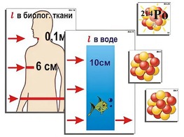 Модель-аппликация "Явление радиоактивности" (ламинированная) - fgospostavki.ru - Югорск