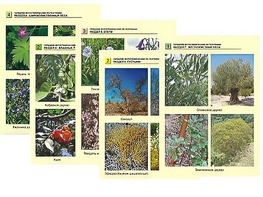 Гербарий фотографический по географии - fgospostavki.ru - Югорск