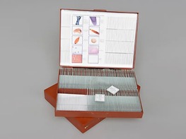 Комплект микропрепаратов "Общая биология" - fgospostavki.ru - Югорск