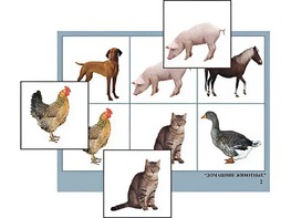 Логопедическое лото "Домашние животные" (4 планшета, 24 карточки, цветное, ламинированное) - fgospostavki.ru - Югорск