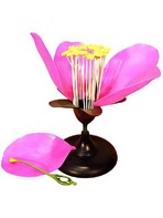 Модель цветка яблони - fgospostavki.ru - Югорск