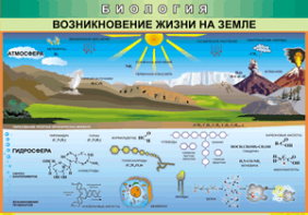 Таблица "Возникновение жизни на земле" (100х140 сантиметров, винил) - fgospostavki.ru - Югорск