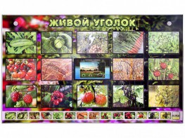 Комплект оборудования "Живой уголок" (растения) с тифлопереводом и сурдокомментариями - fgospostavki.ru - Югорск