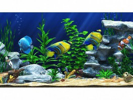 Интерактивный аттракционный комплекс "Водный мир" - fgospostavki.ru - Югорск