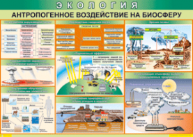 Таблица "Антропогенное воздействие на биосферу" (100х140 сантиметров, винил) - fgospostavki.ru - Югорск