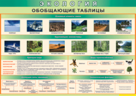 Таблица "Экология. Обобщающие таблицы" (100х140 сантиметров, винил) - fgospostavki.ru - Югорск