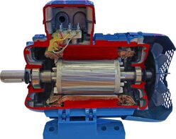 Учебная модель «Электродвигатель асинхронный в разрезе» - fgospostavki.ru - Югорск