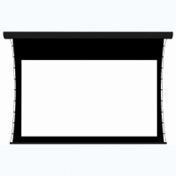 Экран настенный с электроприводом DSTPX-16915 - fgospostavki.ru - Югорск