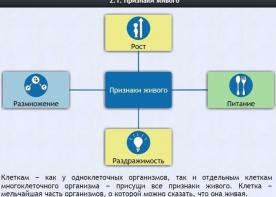 Интерактивные курсы. Биология 5 класс. Базовый - fgospostavki.ru - Югорск