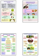 Плакаты ПРОФТЕХ "Классификация овощей и переработка" (8 пл, винил, 70х100) - fgospostavki.ru - Югорск