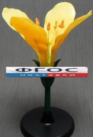 Модель "Цветок капусты" - fgospostavki.ru - Югорск