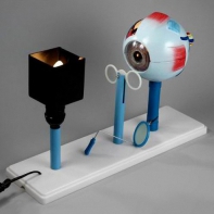 Модель "Зрение" (электрическая) - fgospostavki.ru - Югорск