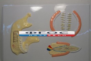 Модель барельефная "Челюсть человека" - fgospostavki.ru - Югорск