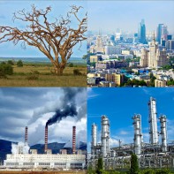 Модель-аппликация Биосфера и человек - fgospostavki.ru - Югорск