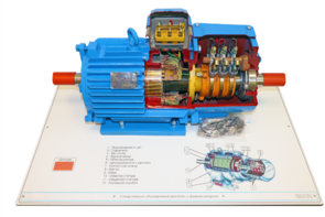 Стенд-планшет «Асинхронный двигатель с фазным ротором» - fgospostavki.ru - Югорск