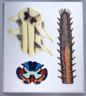 Модель барельефная "Строение спинного мозга" - fgospostavki.ru - Югорск