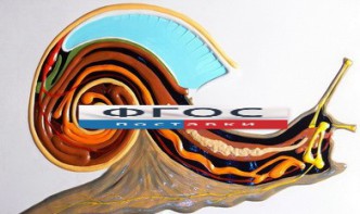 Модель барельефная "Внутреннее строение брюхоногого моллюска" - fgospostavki.ru - Югорск