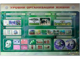 Электрифицированный стенд "Уровни организации жизни" - fgospostavki.ru - Югорск