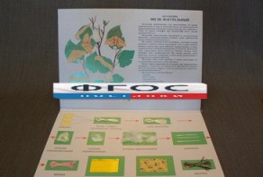 Коллекция "Шелк для начальной школы" - fgospostavki.ru - Югорск