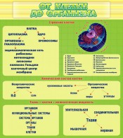 Стенд "От клетки до организма" - fgospostavki.ru - Югорск
