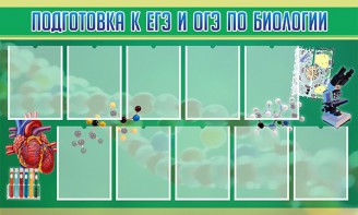 Стенд "Подготовка к ЕГЭ и ОГЭ по биологии" Вариант 2 - fgospostavki.ru - Югорск