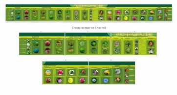 Стенд "Классификация растений" - fgospostavki.ru - Югорск