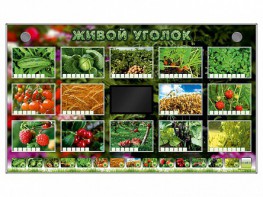 Комплект оборудования "Живой уголок" (растения) - fgospostavki.ru - Югорск