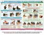 Комплект плакатов "Оказание первой доврачебной медицинской помощи" - fgospostavki.ru - Югорск