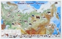 Магнитные карточки "Животные" - fgospostavki.ru - Югорск