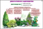 Комплект кодотранспарантов "Культурные растения" - fgospostavki.ru - Югорск