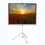 Экран на штативе DSKD-4303 - fgospostavki.ru - Югорск