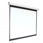 Экран настенный с электроприводом DSEF-16909 - fgospostavki.ru - Югорск