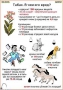 Комплект кодотранспарантов "Ядовитые растения" - fgospostavki.ru - Югорск