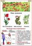 Комплект кодотранспарантов "Ядовитые растения" - fgospostavki.ru - Югорск